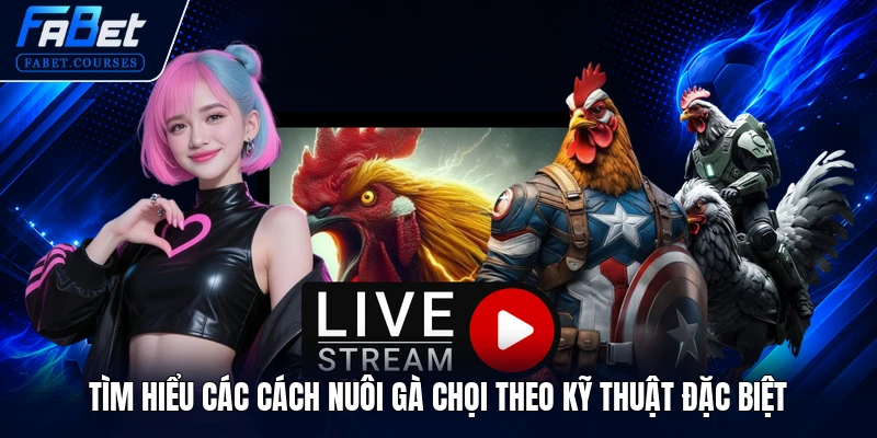 Tìm hiểu các cách nuôi gà chọi theo kỹ thuật đặc biệt